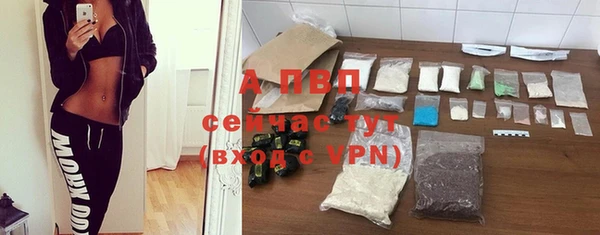 молекула духа Протвино