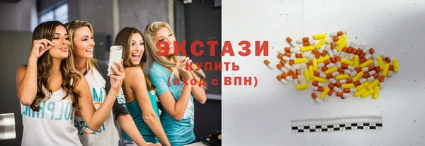 СК Гатчина