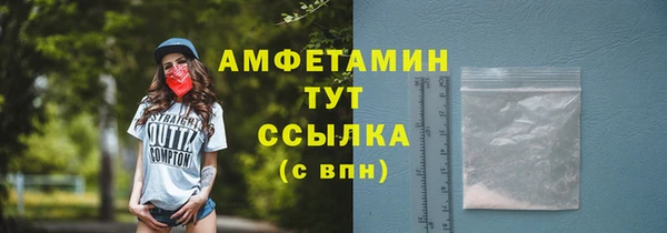 молекула духа Протвино