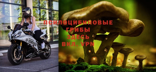 ALPHA PVP Приозерск
