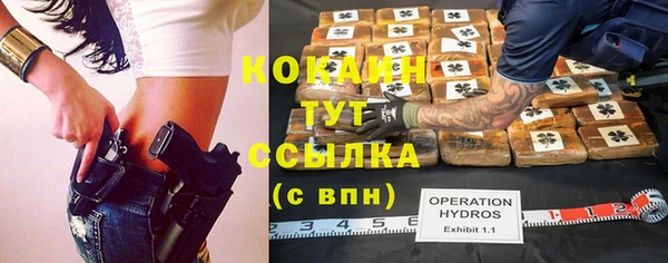 молекула духа Протвино