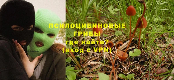 молекула духа Протвино