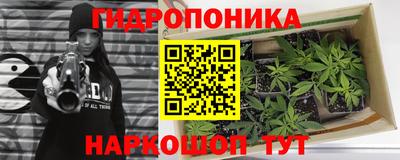 мяу мяу мука Гай