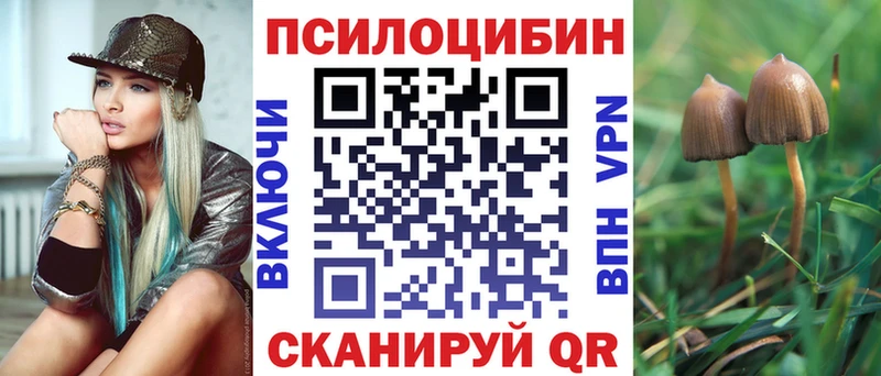 купить наркотики сайты  Костомукша  Галлюциногенные грибы Cubensis 