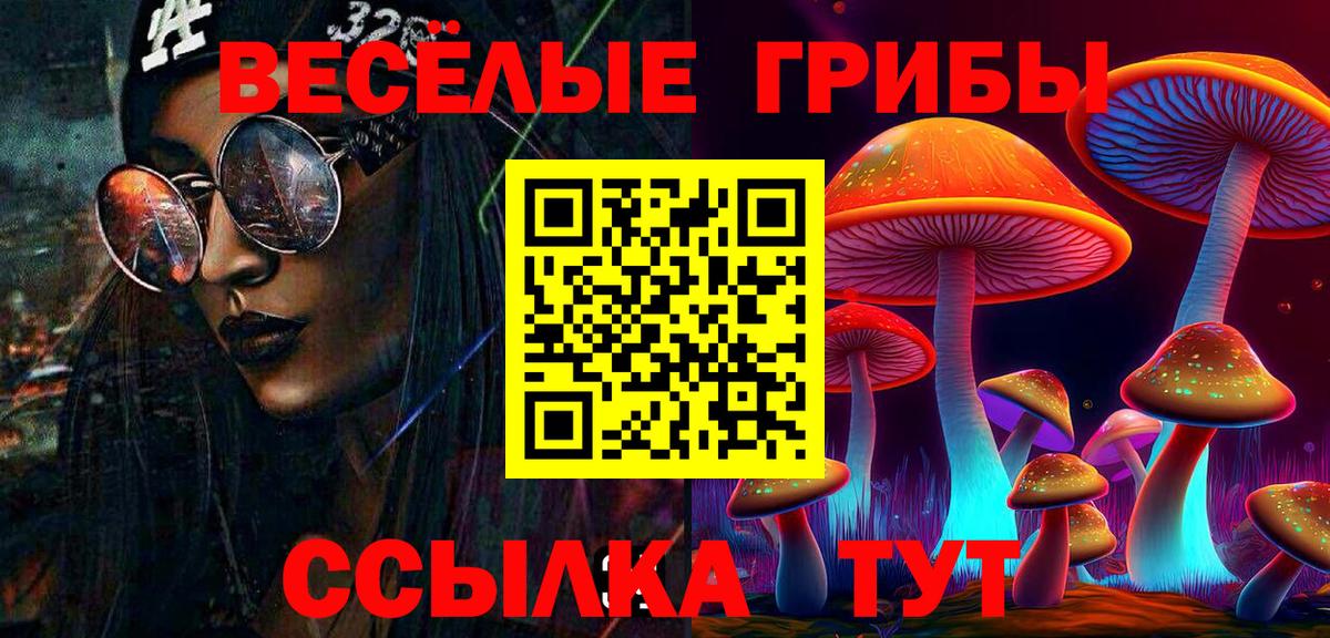 Псилоцибиновые грибы Psilocybe  Вход с VPN  Костомукша  Псилоцибиновые грибы GOLDEN TEACHER 